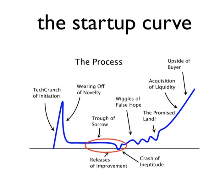 The Startup Curve