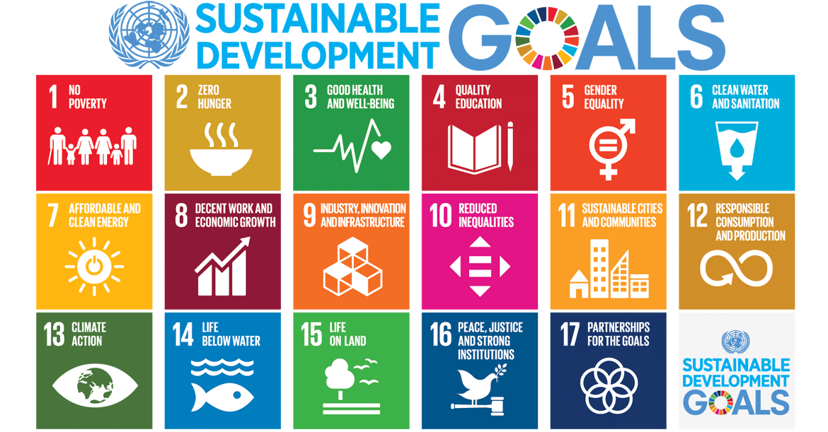 The 17 Sustainable Development Goals