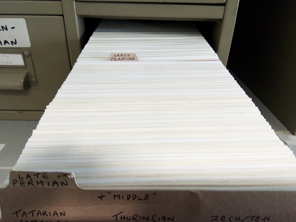 John Williams Index of Palaeopalynology