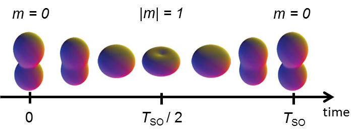 Spin-Orbit wave packet in Ar+. Spin-Orbit wave packet in Ar+.