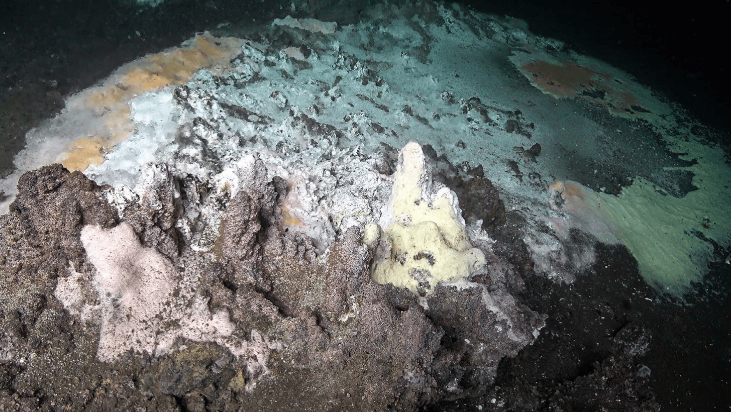 Macintosh HD:Users:brett_baker:Desktop:Screen Shot 2019-03-08 at 11.36.52 AM.png