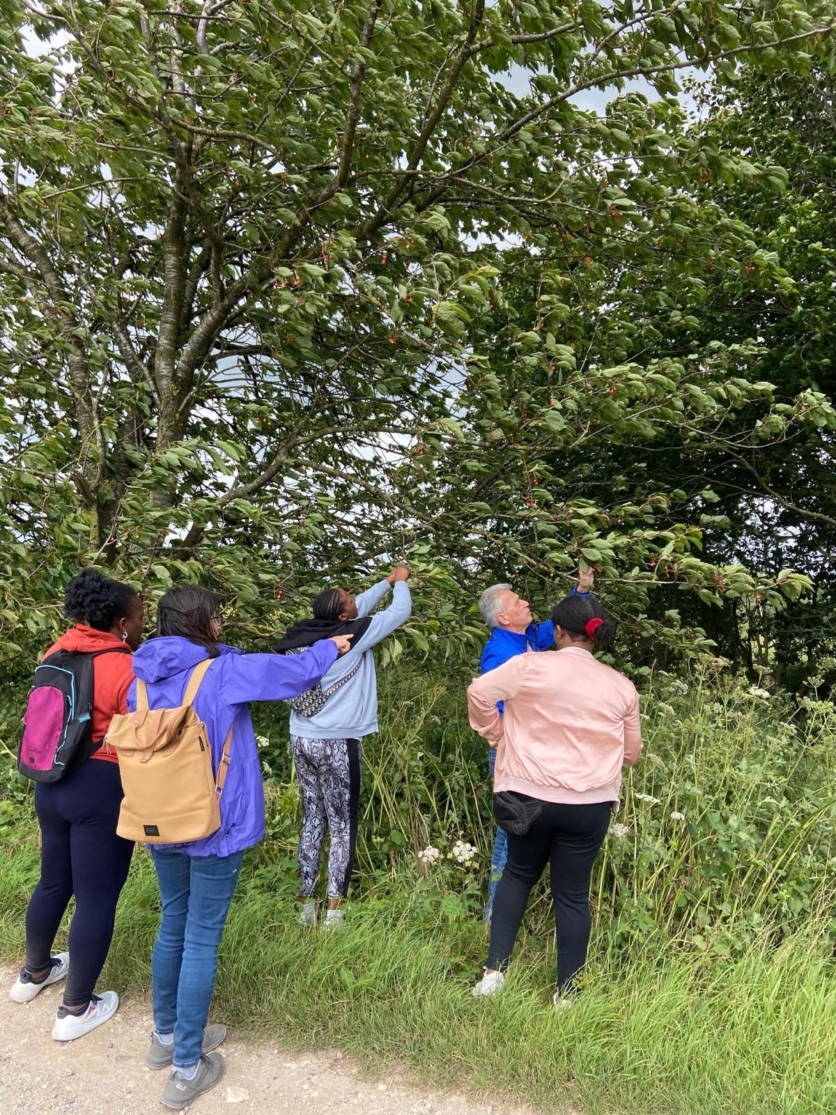 Wellness walks Credit Bora Shabaa