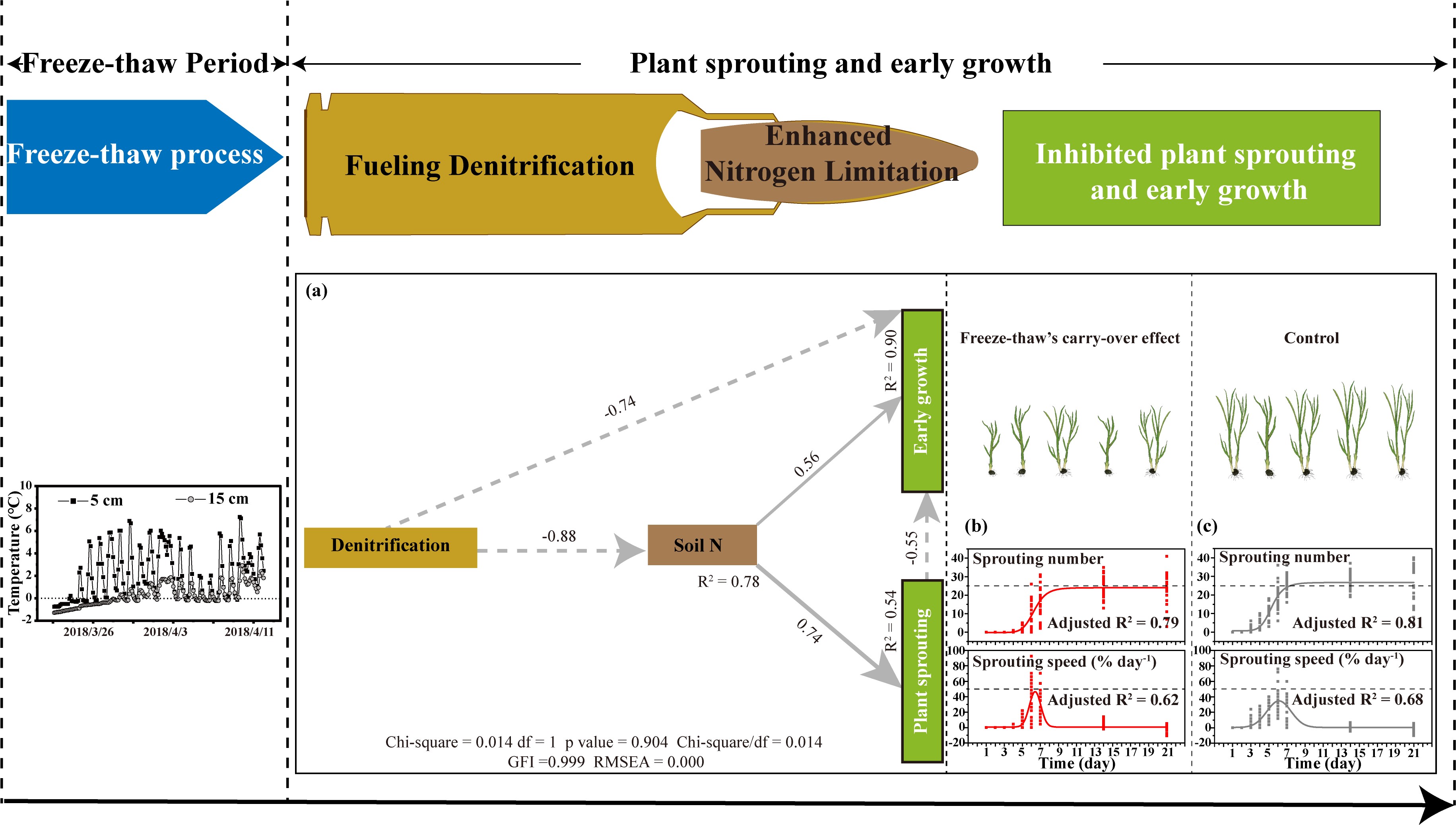 (a) The result of the SEM (dashed and solid lines represent negative and positive relationships, respectively; R2 represents the explained variation; the values on the lines indicate standardized path coefficients; paths with significant coefficients (p < 0.05) are shown); (b, c) the sprouting- time pattern.
