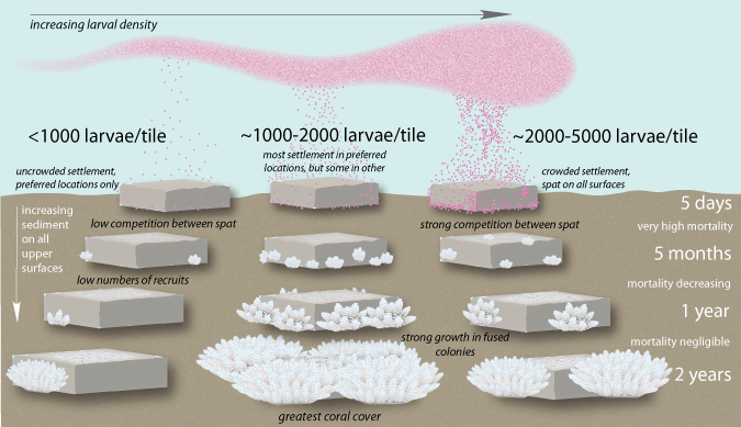Concept diagram of results