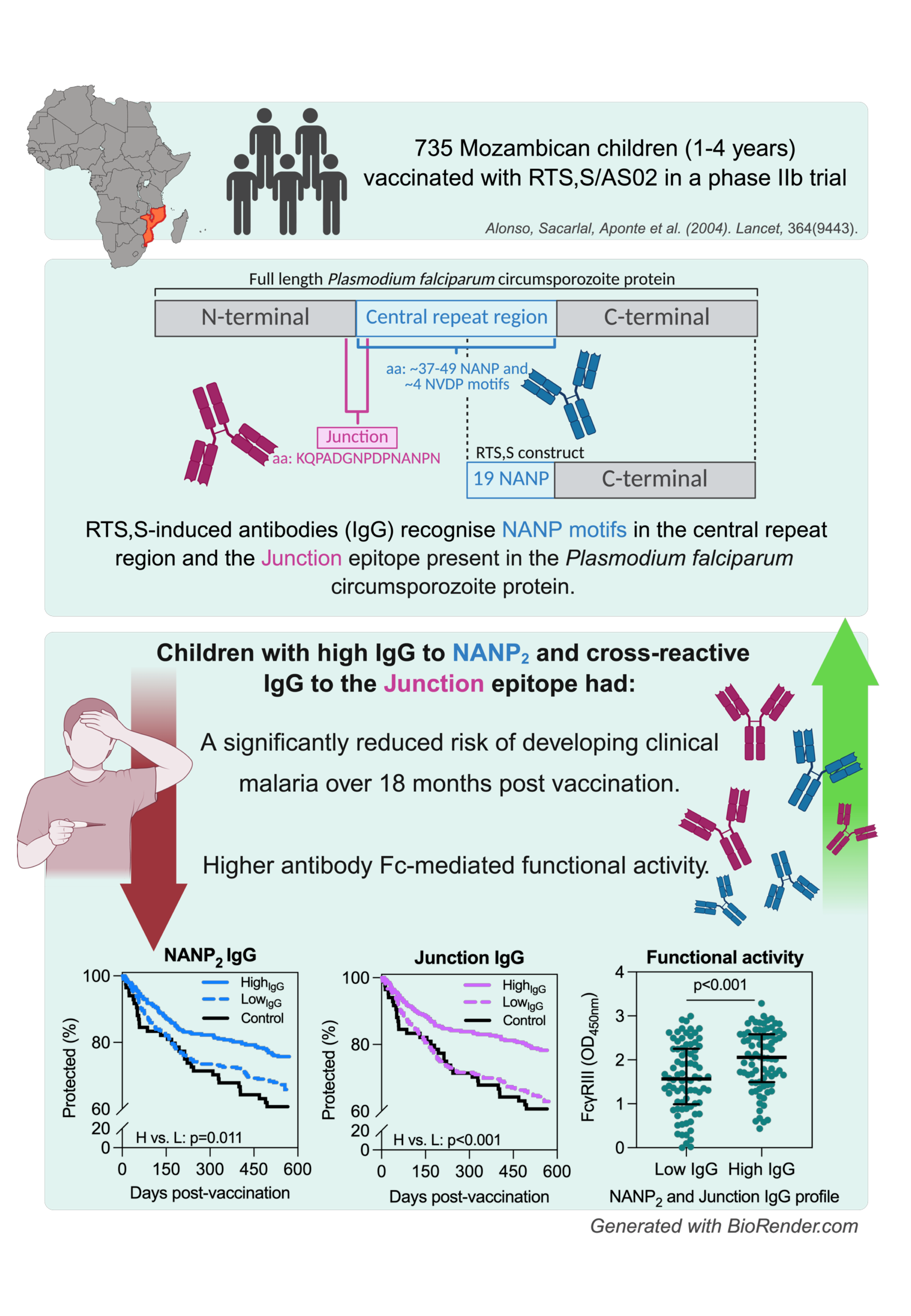 Summary of the study findings
