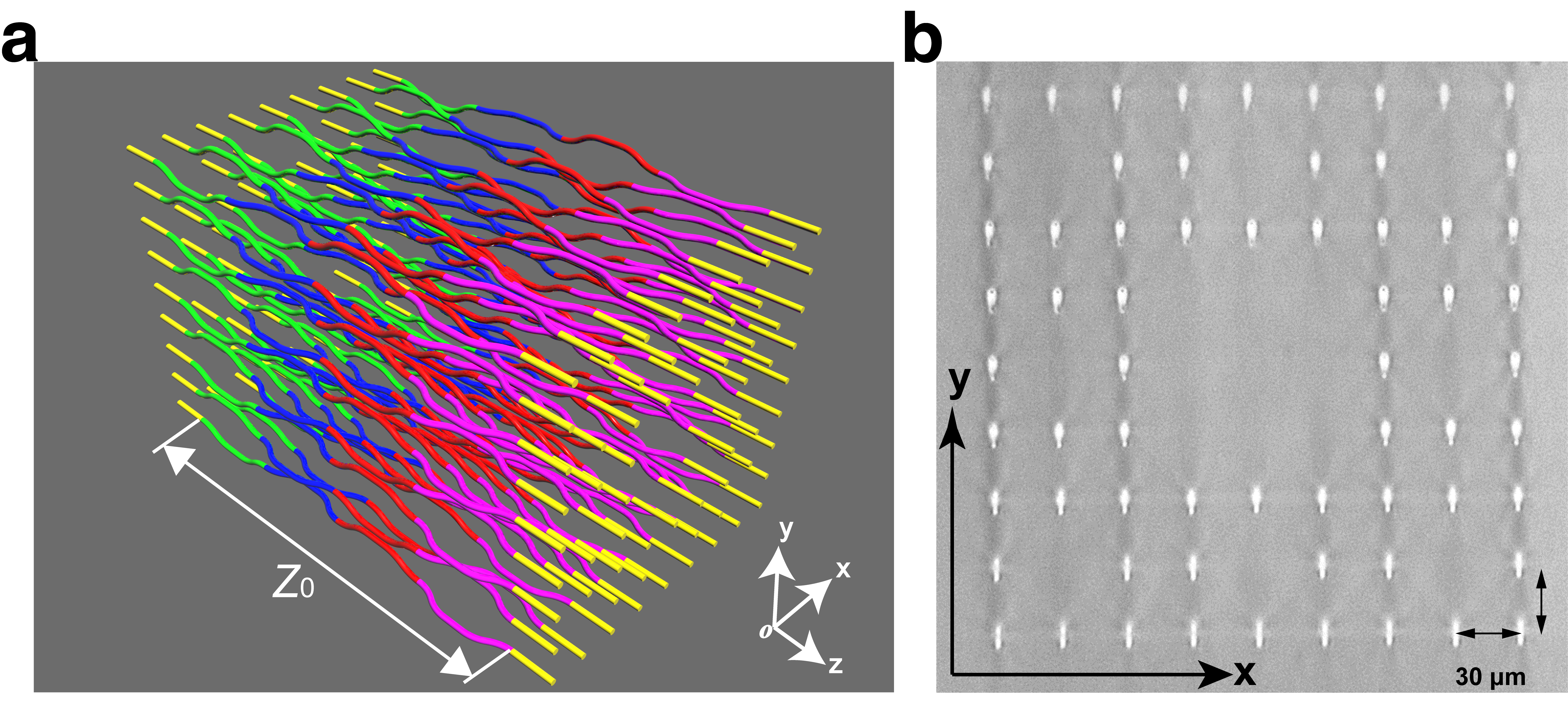 a, A schematic sketch of the fabricated sample with 64 lattice sites (G(2)) in one period z0. b, Micrograph of the facet of the fractal photonic lattice fabricated by FLDW.