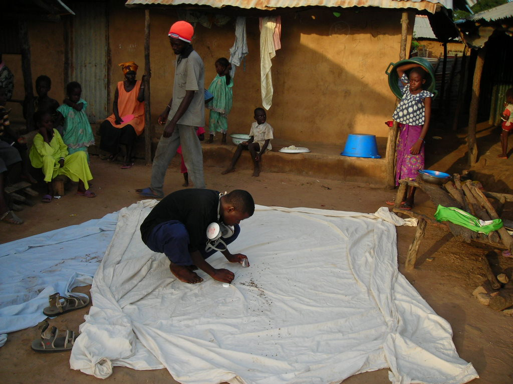 Collecting mosquitoes via pyrethrum spray catch in The Gambia