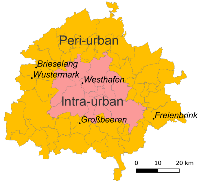 Intra- and peri-urban spaces of the Berlin city-region with districts and freight distribution centres (italic)