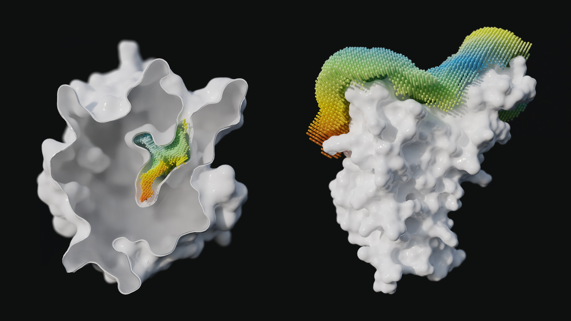 point cloud cavity and Halo