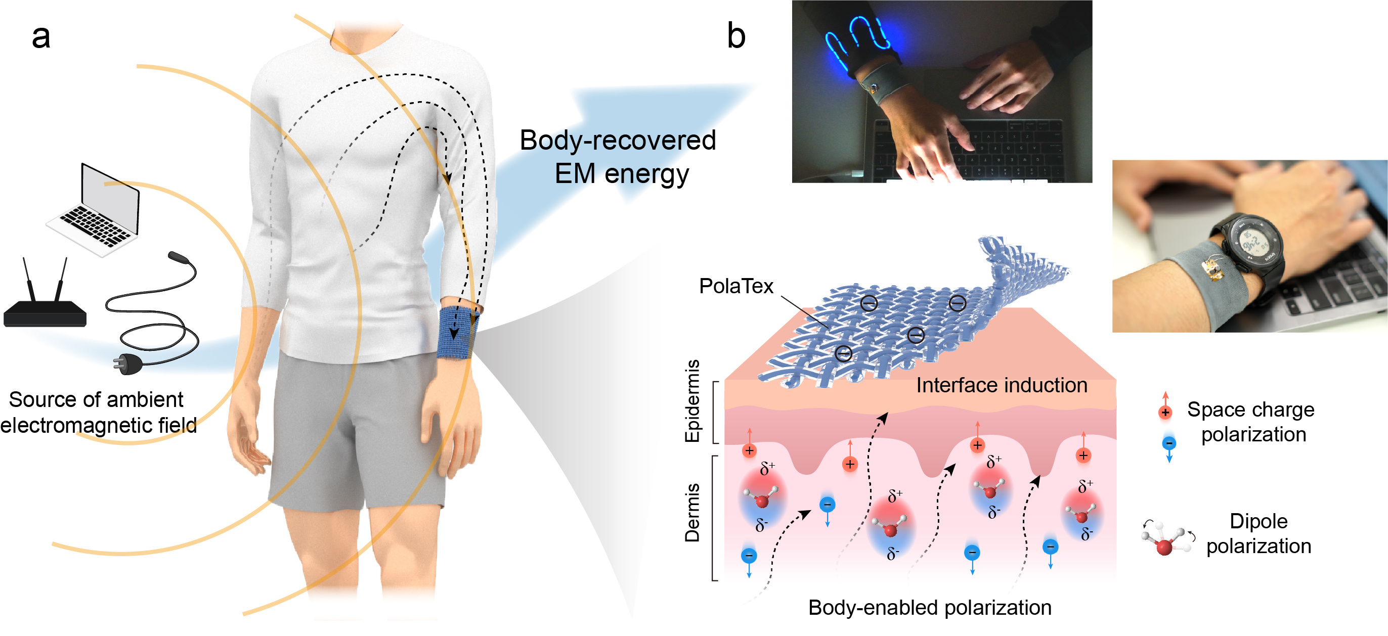 Leveraging body dielectric polarization for ambient electromagnetic energy recovery via e-textile