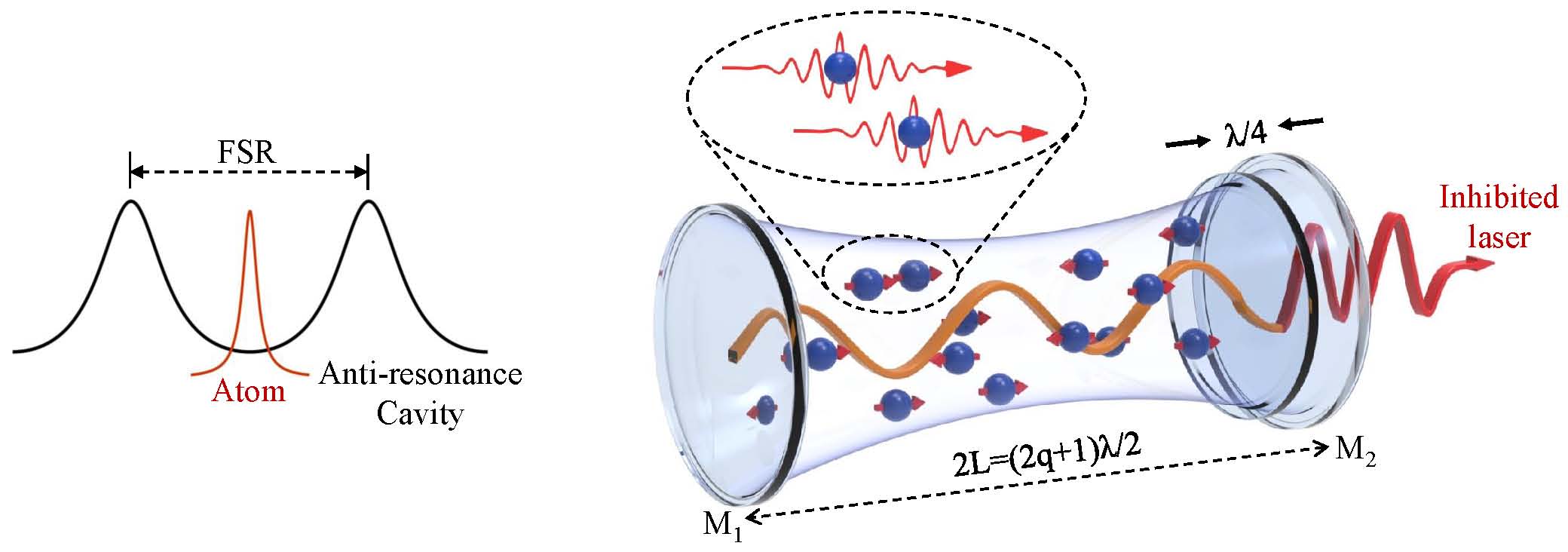 The inhibited laser is realized in an anti-resonant cavity, where the atomic gain line is exactly at the center of two adjacent cavity resonances. Generally, the round-trip optical path is exactly equal to an integer multiple of the intracavity wavelengths, and the output mirror is located at M2’. However, an inhibited laser is achieved when the round-trip optical path is equal to an odd multiple of the half wavelength 2L = (2q + 1)λ/2 with the output mirror being located at M2.