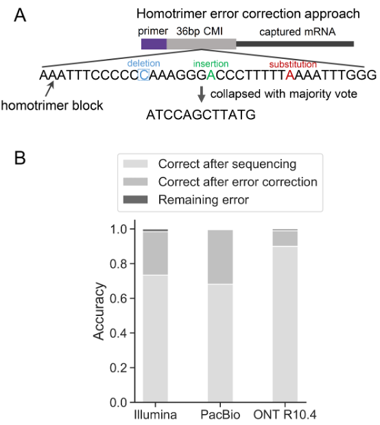 Homotrimer error correction