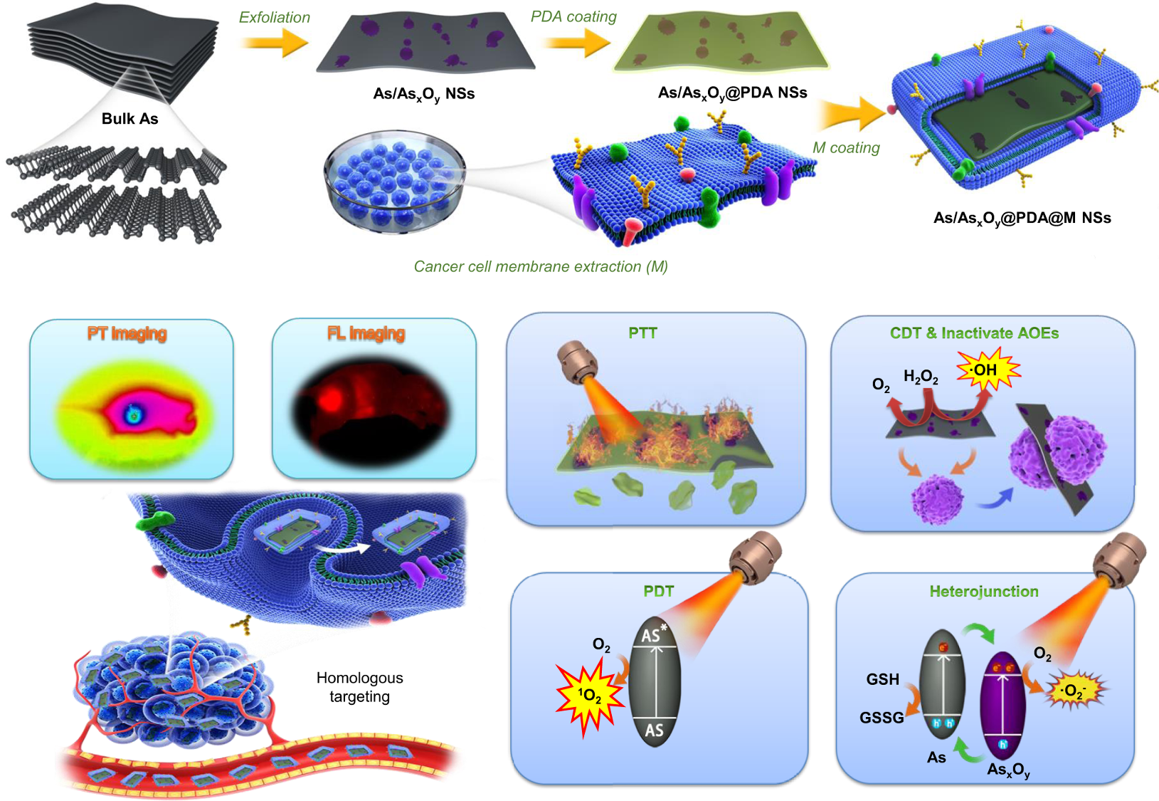 Fig. 1: Schematic illustration of preparation and dual-modal imaging-guided cancer theranostics using As/AsxOy@PDA@M NSs.