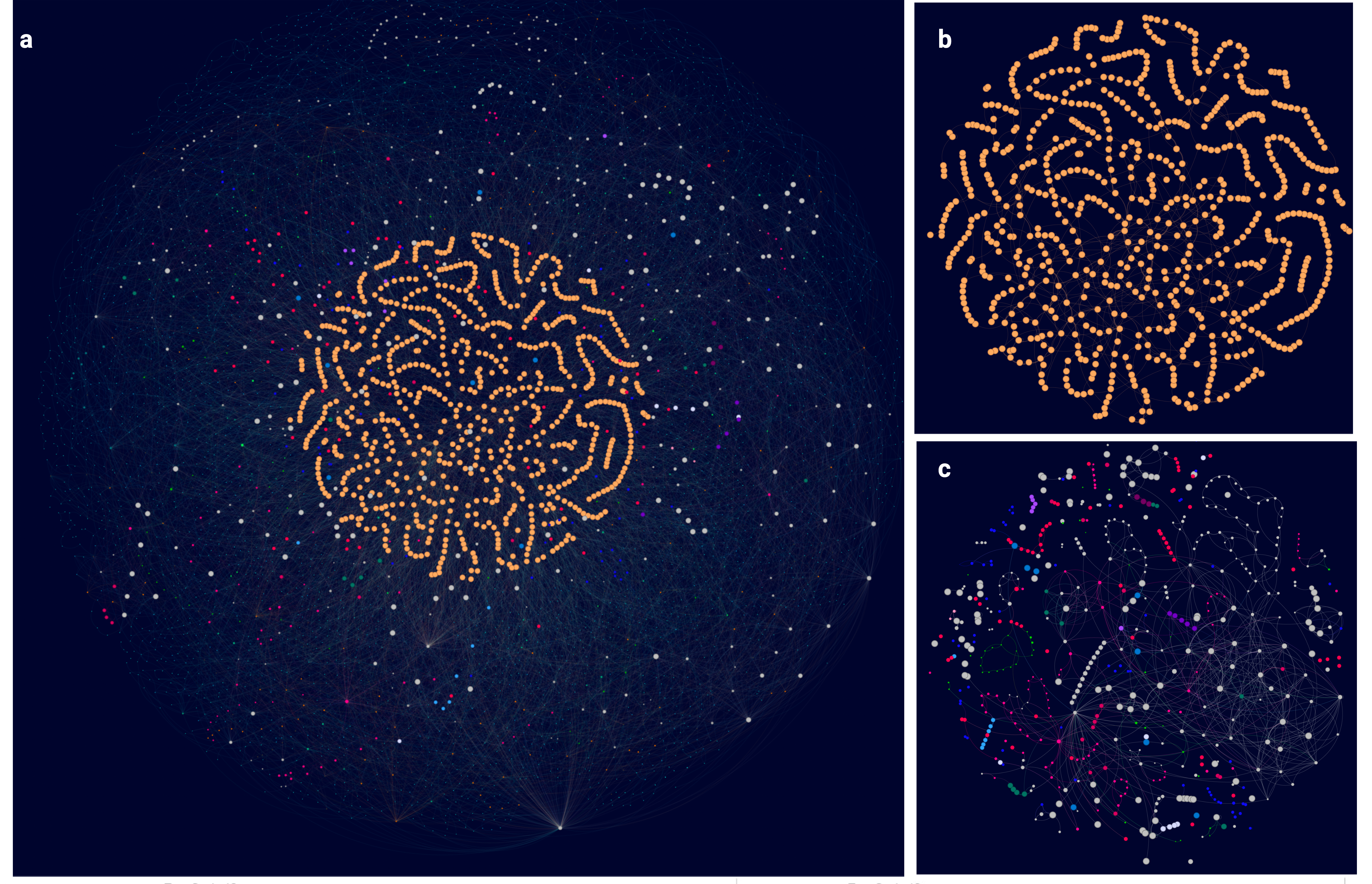 Network map of genes in the Gardnerella pangenome.