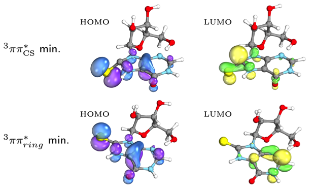 Photochemical properties of 8-mercapto-arabino-inosine. 
