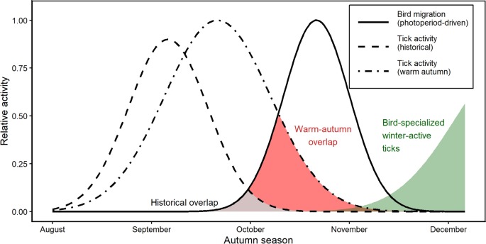 Predicting the future overlap between redwing migration and summer tick activity