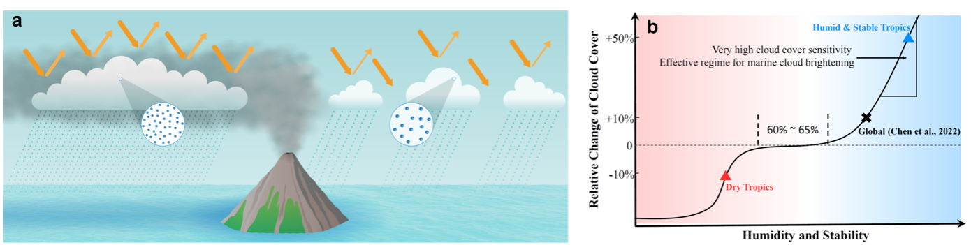 Fig.1 | Cloud cover responses to aerosol perturbation. (a) Conceptual picture of volcanic aerosol plume interacts with shallow convective marine clouds, leading to increase of cloud cover, precipitation, and more reflected solar radiation back to space. (b) The responses of cloud cover to 30% increase of cloud droplet number concentration (global average of change from pre-industrial to present-day) depend on meteorology conditions and cloud regimes. Black cross of Chen et al. (2022) represents a more generalized analogue for the global cloud regime spectrum, blue and red triangles represent responses of tropical marine clouds with implication to marine cloud brightening. The figure for this article is composed of 2 panels. - Panel a = Fig 1b from the original paper - Panel b = Fig 4 from the original paper