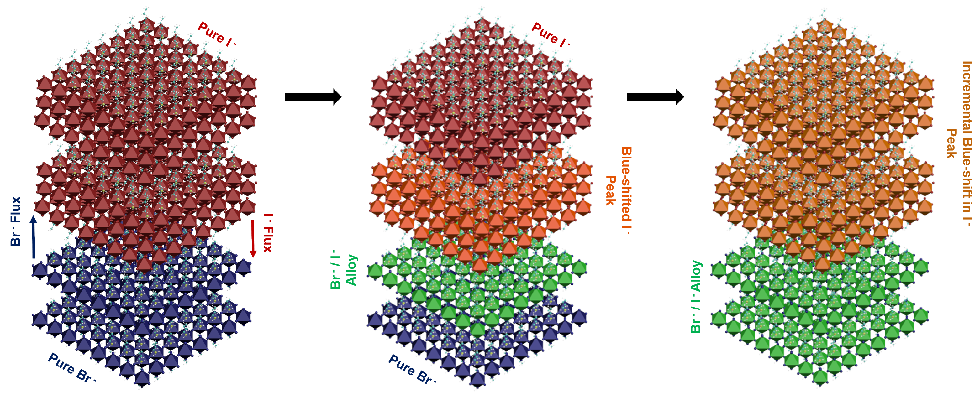Schematic representation of “quantized” halide inter-diffusion across a 2D perovskite vertical heterostructure