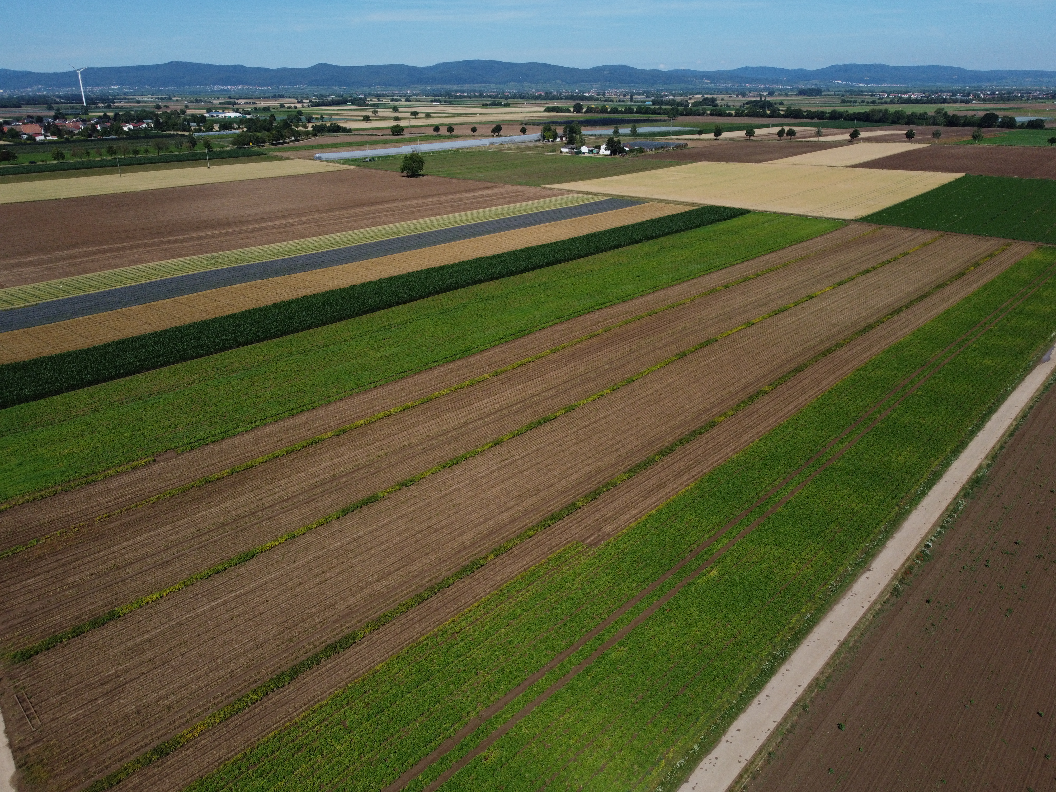 Tightly packed fields in the lowlands.
