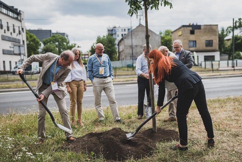Photo of a group of people planting a tree.