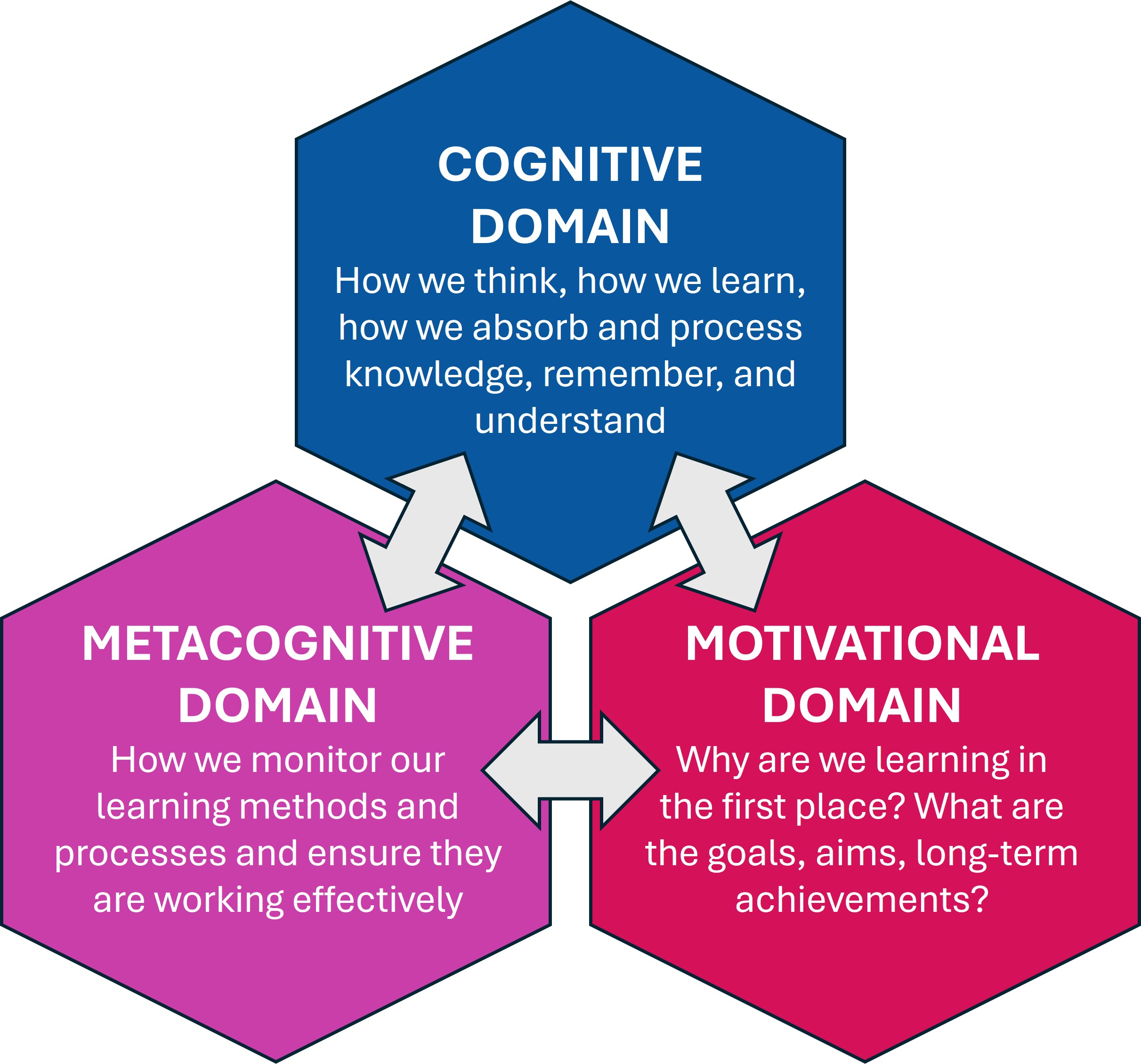 Figure 1 – The three domains of self-regulated learning. Descriptors of the three SRL domains of cognition, metacognition and motivation, showing interactions between domains. 