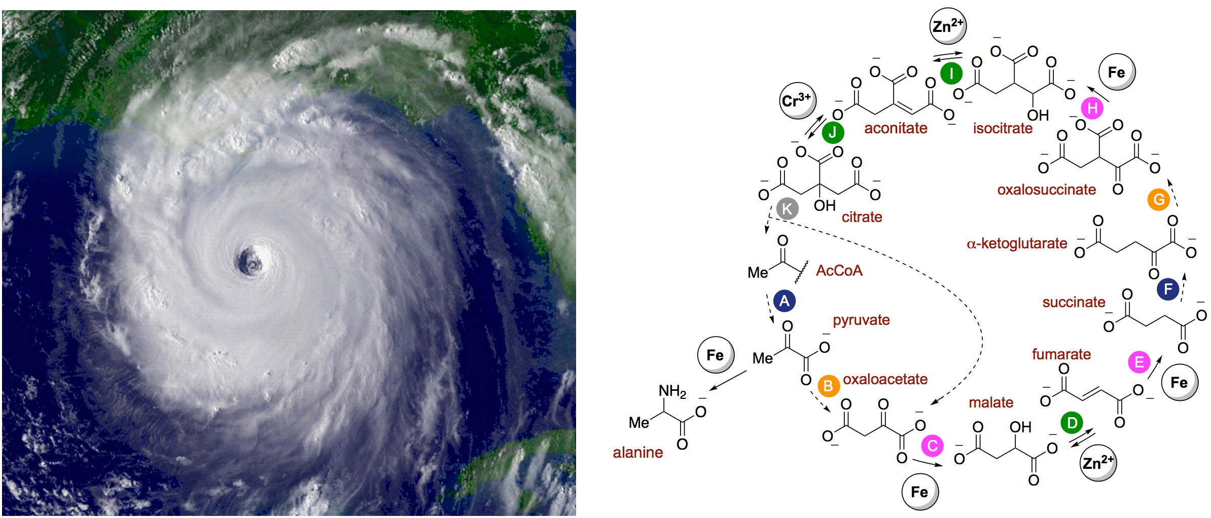 hurricane vs rTCA cycle hurricane vs rTCA cycle