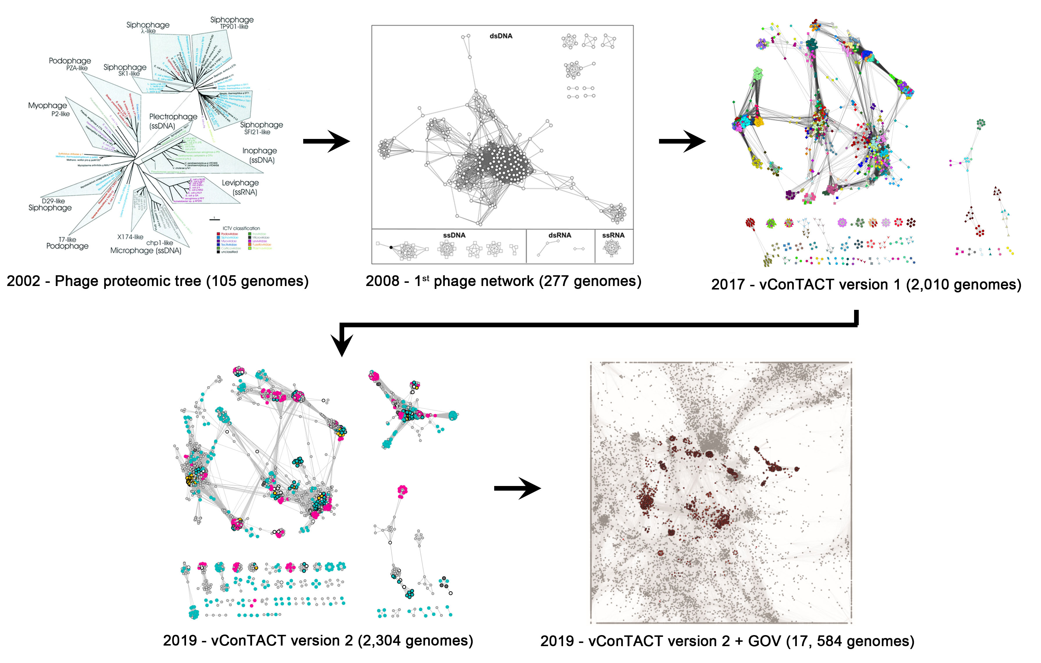 Figure 1: The evolution of universal phage taxonomy frameworks. Figure 1: The evolution of universal phage taxonomy frameworks.