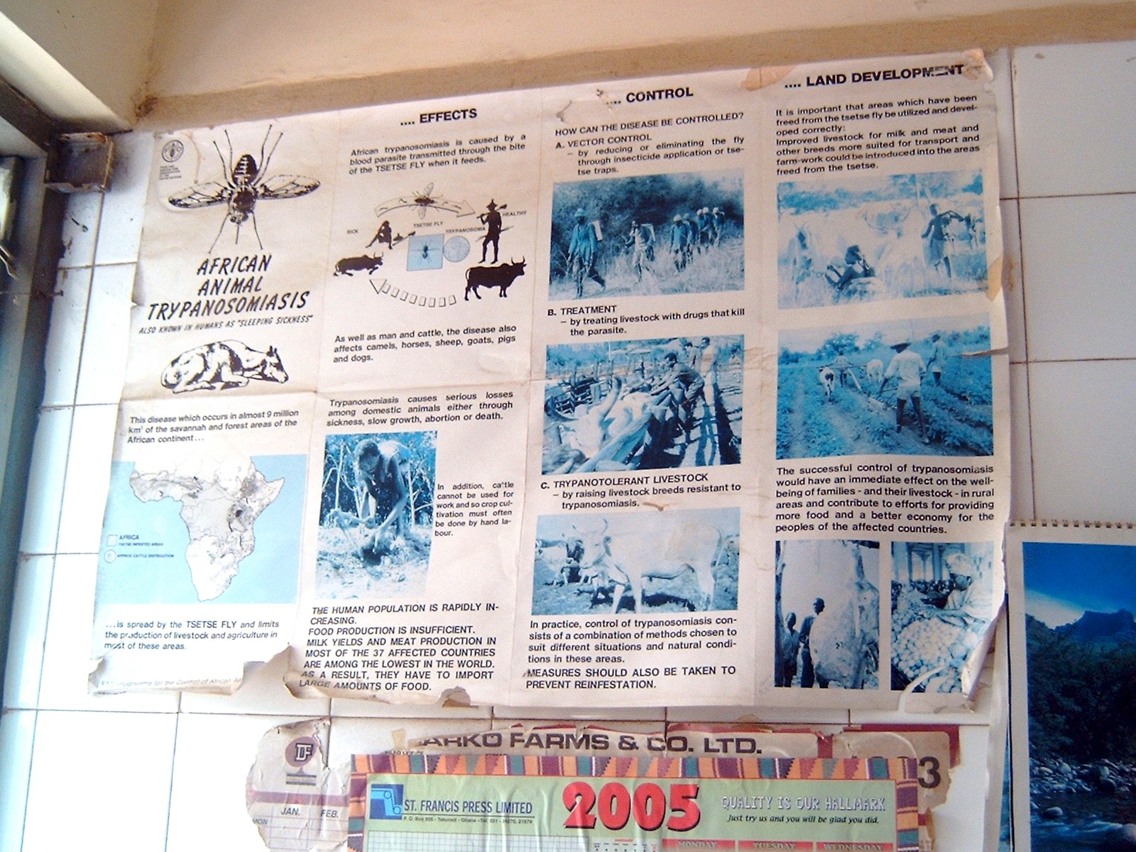 Trypanosomiasis guidance in a veterinary clinic in Ghana