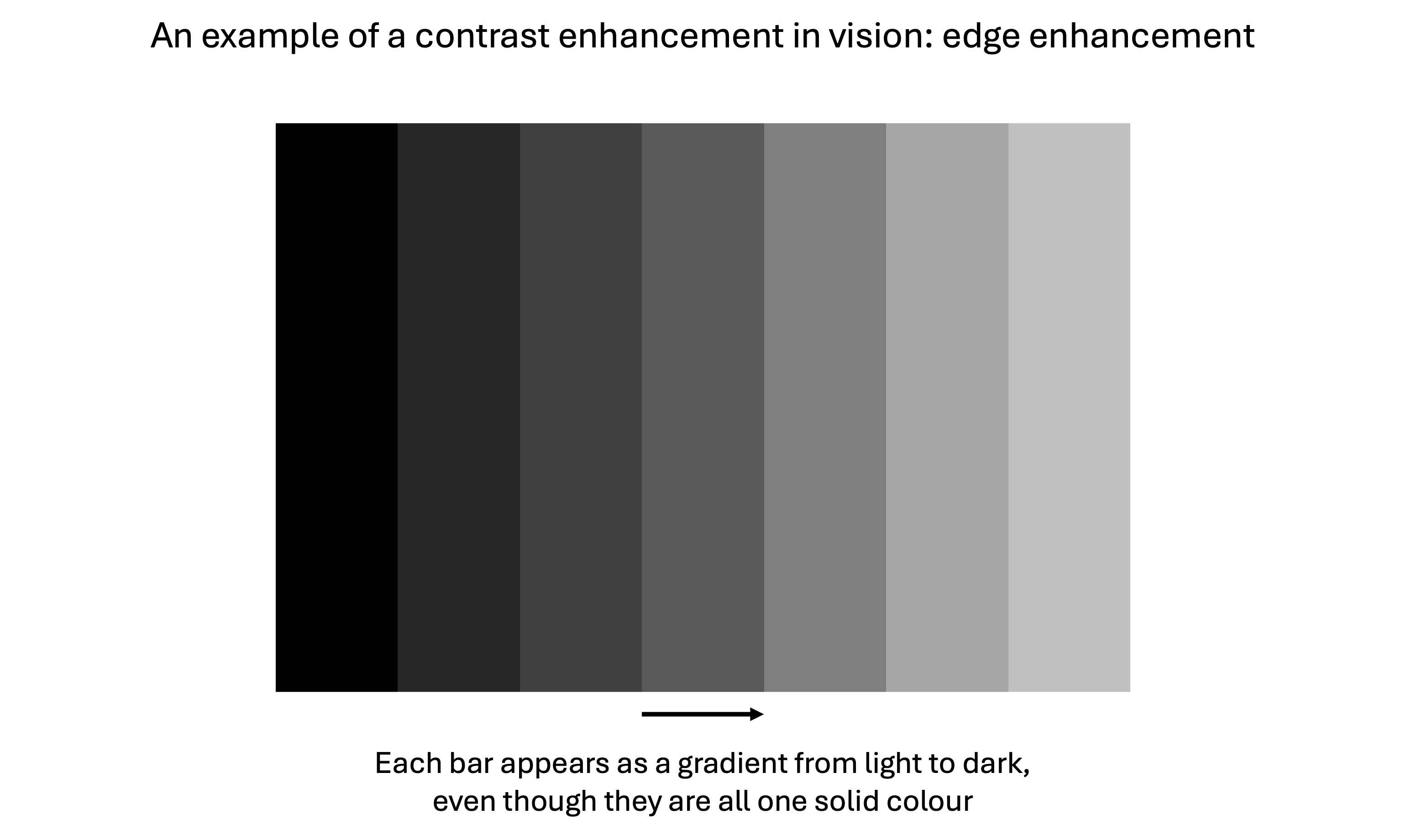 An example of edge enhancement. Showing a series of bars that steadily progress from black to light grey. Even though the luminance of each bar is uniform (i.e. they are the same shade throughout), contrast enhancement around the edges results in each bar being perceived as a gradient from light to dark. 