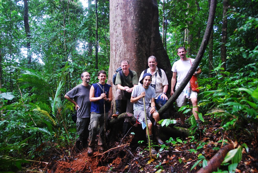 The team in the field