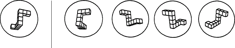 Mental rotation task