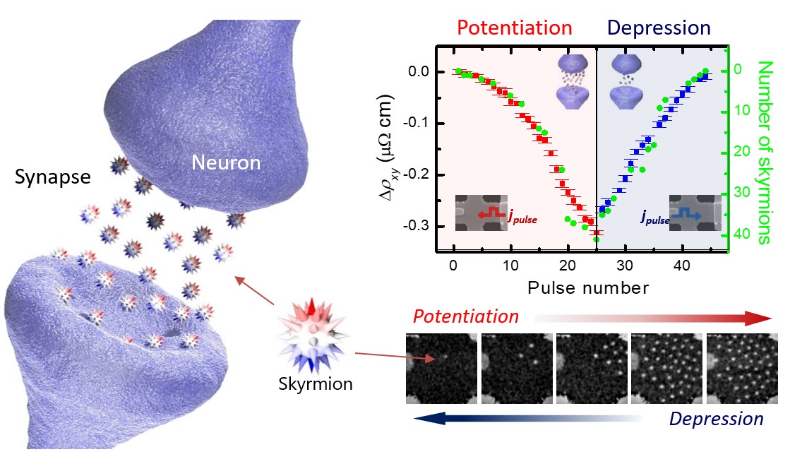 Magnetic skyrmion-based artificial synapse