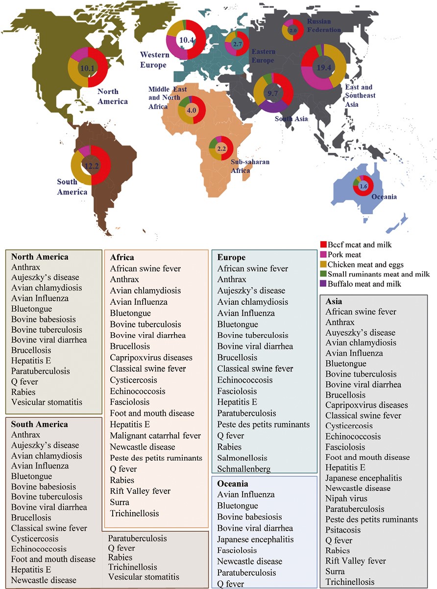 Notable shared infections in the livestock–wildlife interface categorized by continent and total animal production by regions. Protein quantities are indicated in millions of tons. The upper image has been modified based on data from a FAO source (https://www.fao.org/gleam/es/). The selection of shared infections has been adapted from Vicente et al. (2021), focusing on beef, pork, chicken, small ruminants, and buffalo species.