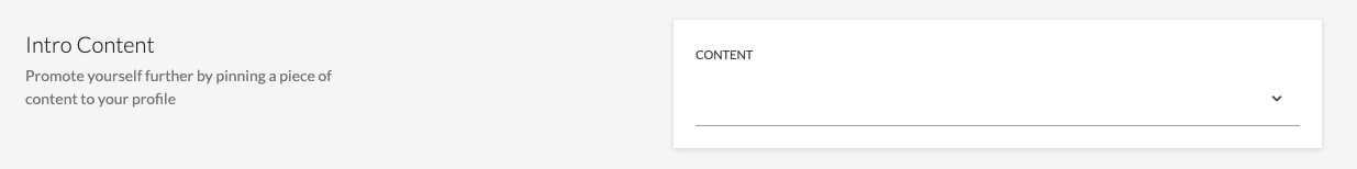 Introductory content option for profiles
