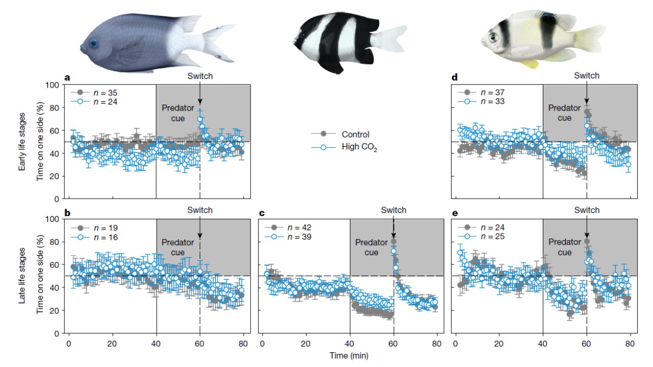 Figure 2 in Clark et al. (2020)