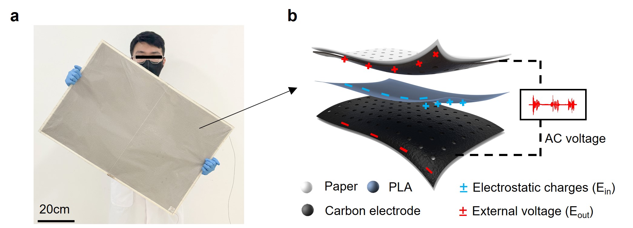Fig. 1. Design strategy of the eco-friendly flexible electret loudspeakers. (a) Photo of a rectangle-size loudspeaker in size of 50×80 cm2 (scale bar, 20 cm). (b) Diagram illustrating the device structure of the loudspeaker and the electricity-sound conversion principle. 