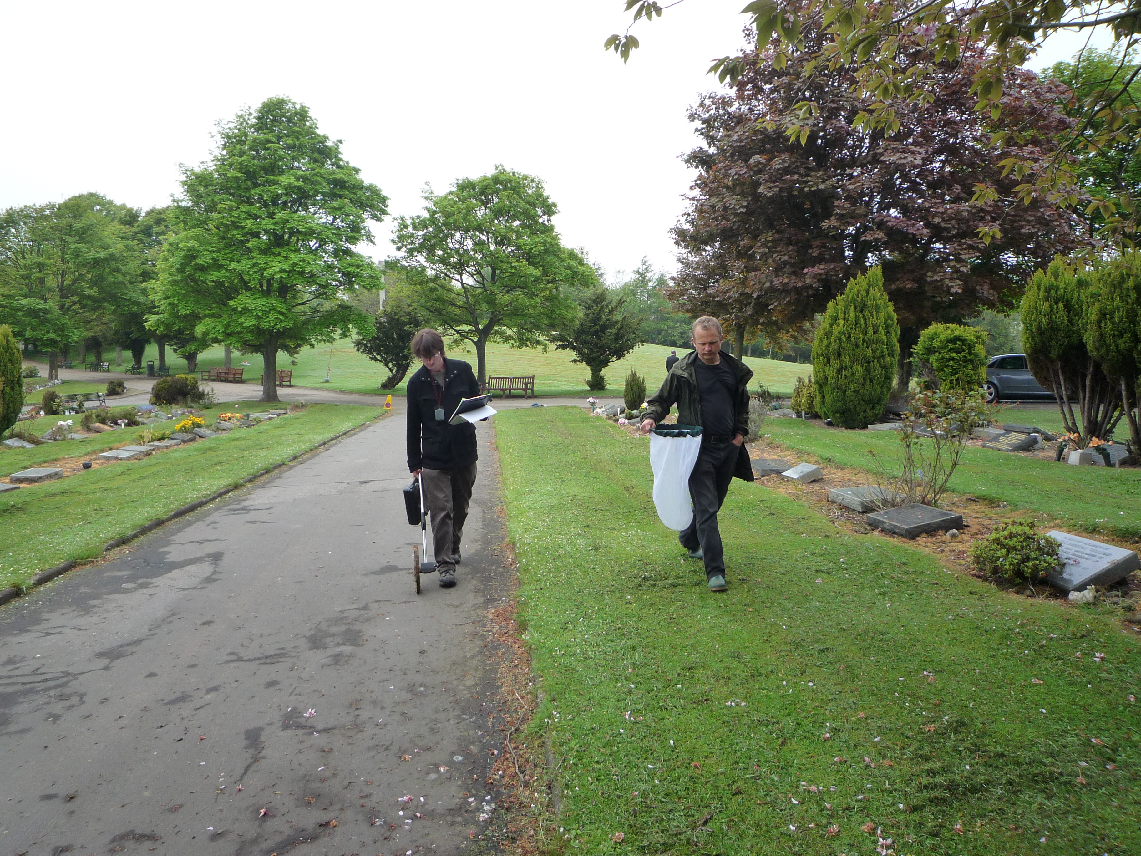Sampling a cemetery for pollinators in Edinburgh (Photo: K. Baldock)