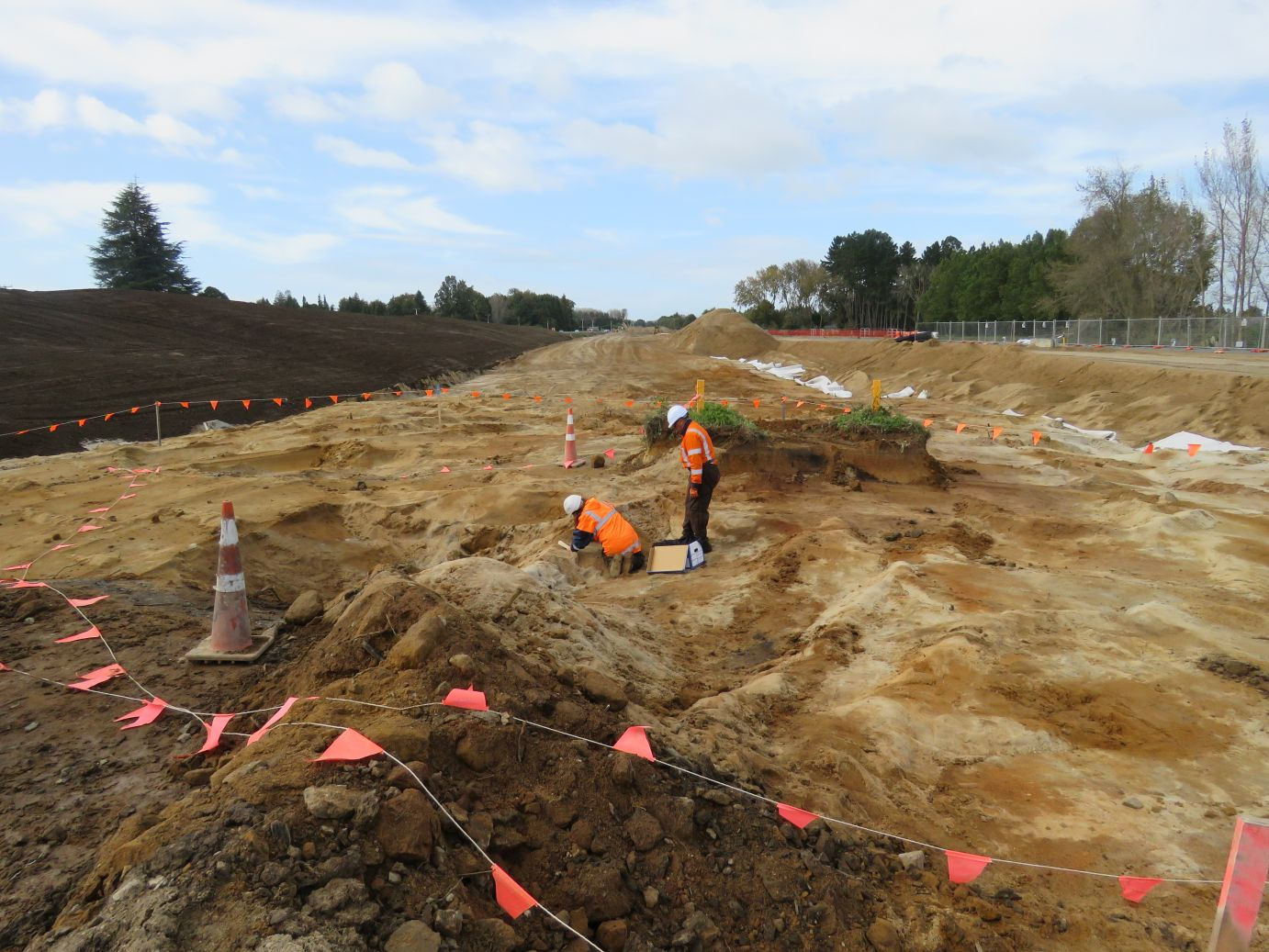 Kōiwi recovery at Tamahere site S14/487