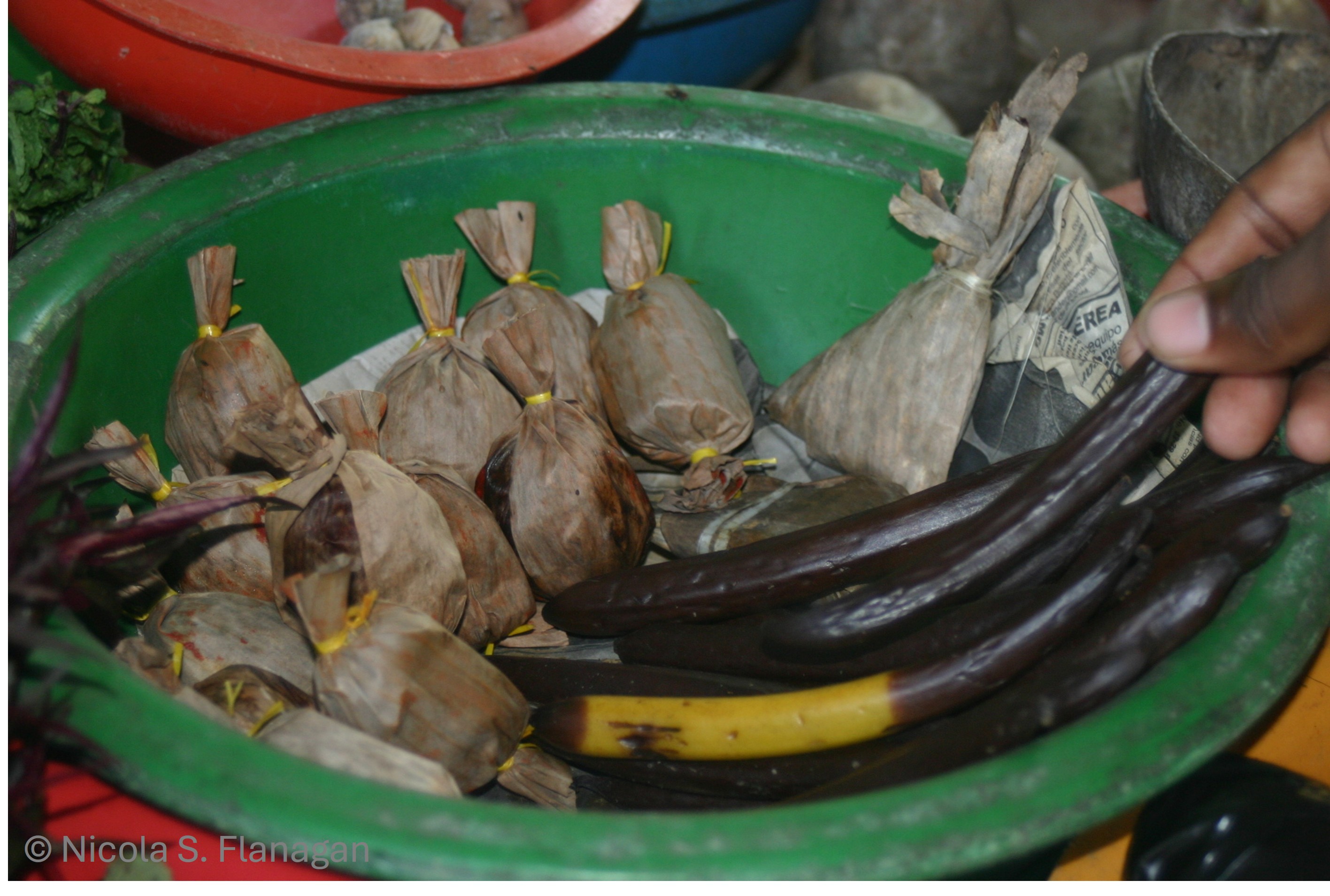 Fig. 1. Wild-collected vanilla beans offered in a market stall in the town of Quibdó, Choco, Colombia. 
