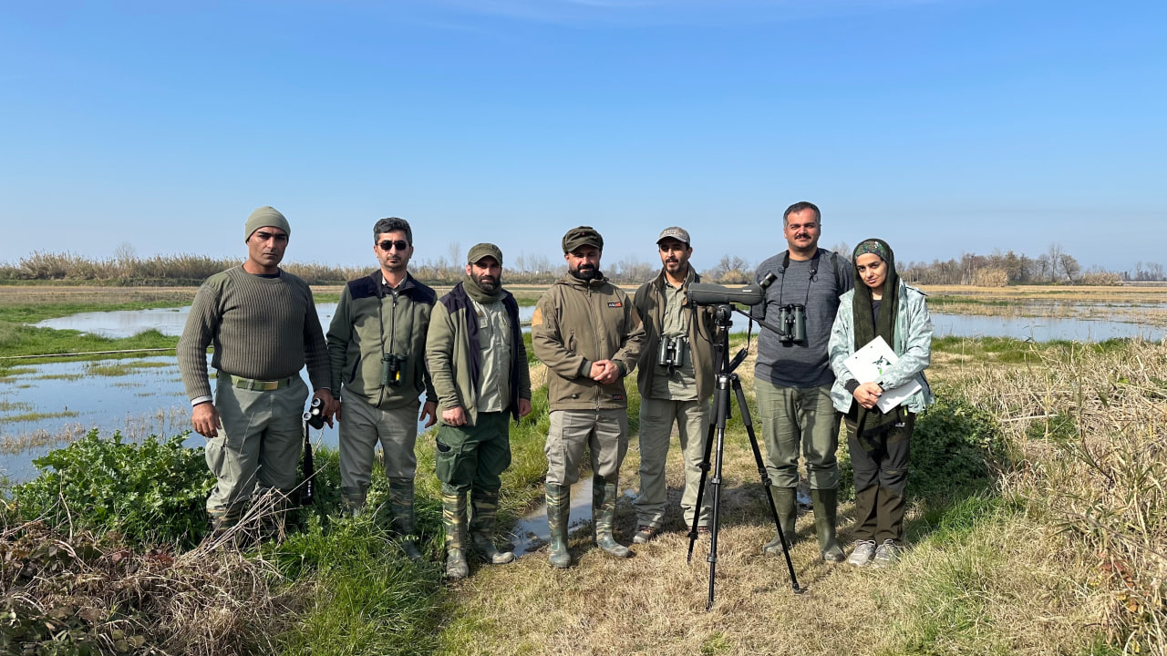 AvayeBoom team during Mazandaran Waterbird Census 2026