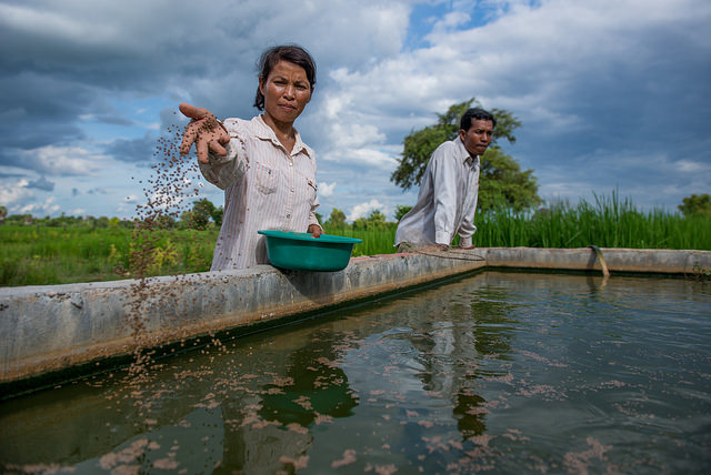 Woman feeding fish
