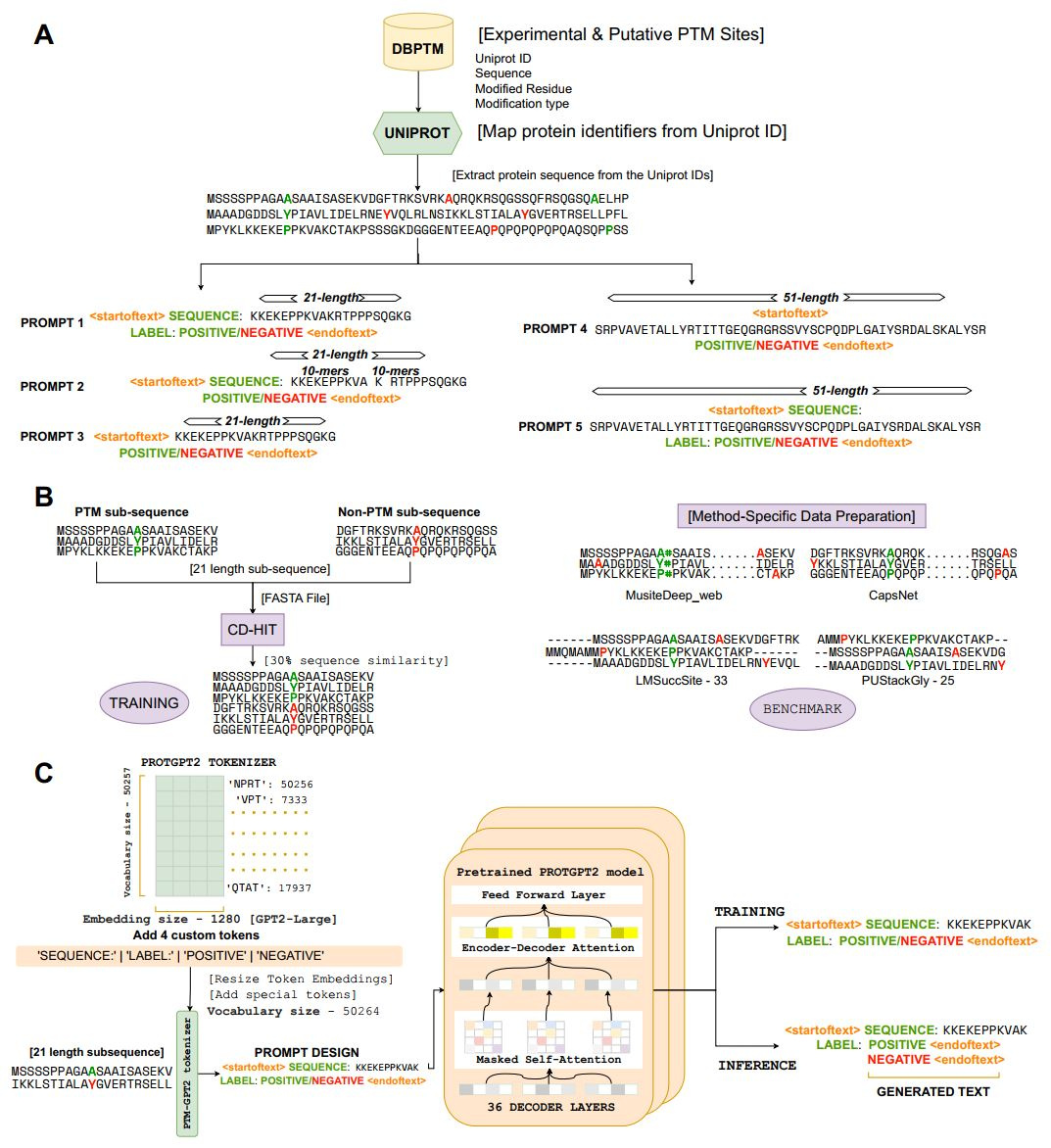 Schematic Representation of the PTMGPT2 Framework 