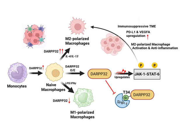 behind the paper image abstract