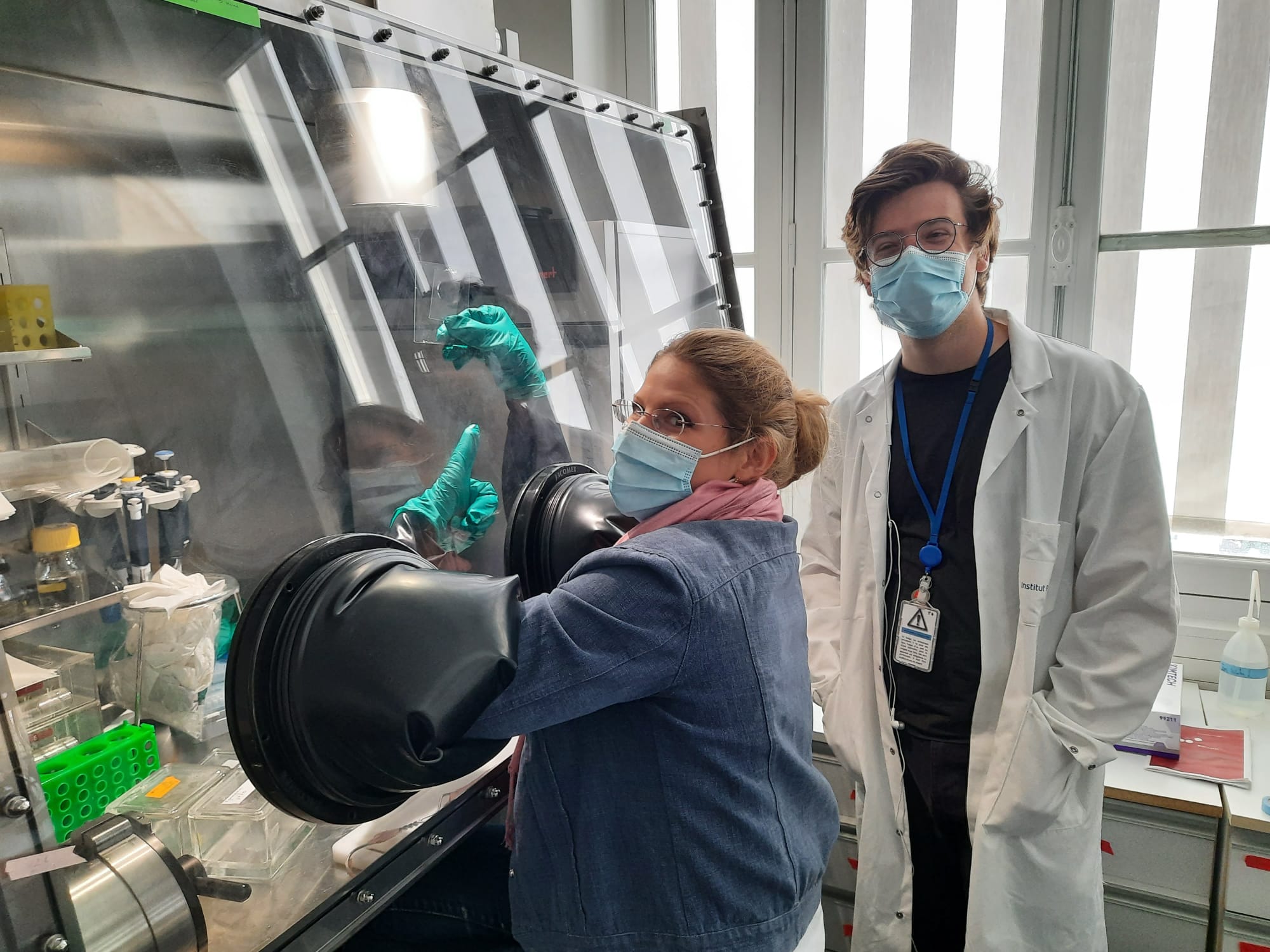 Figure 3. Rob (right) and Nika, (left) looking happily at our first Zymogram that showed bands of clearance. There are big grins under the masks (not pictured).