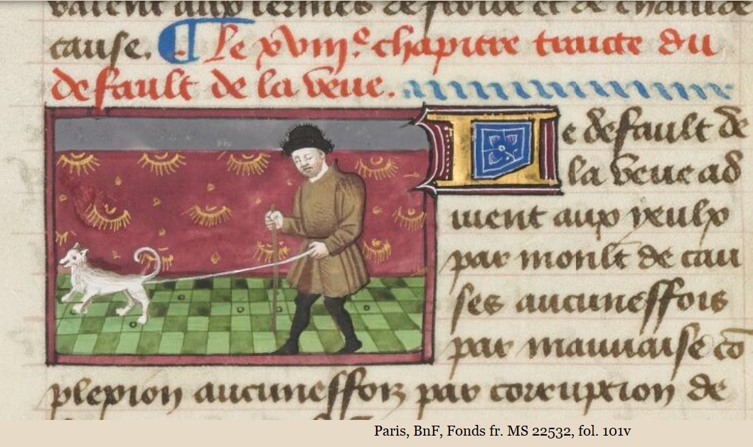 A man in a brown tunic with his eyes closed wearing a dark cap; he holds a staff in his right hand and a leash in his left. At the end of the leash is a small white guide dog, with pointed ears, and a curled tail