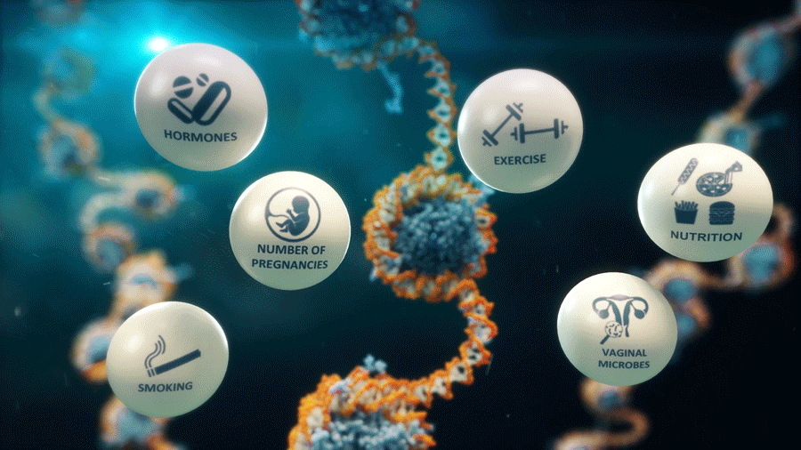 Environmental, hormonal, or lifestyle factors can contribute to epigenetic changes.