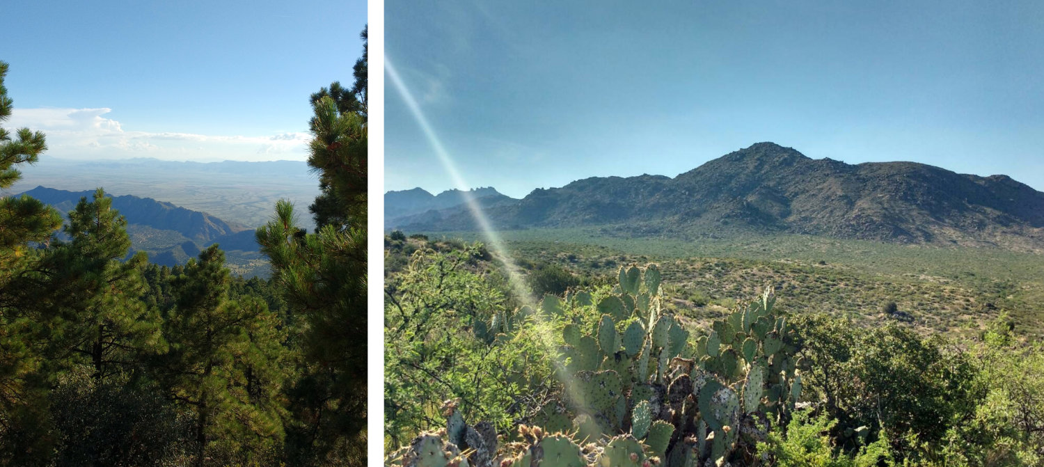 Photos of sky islands and their surrounding desert
