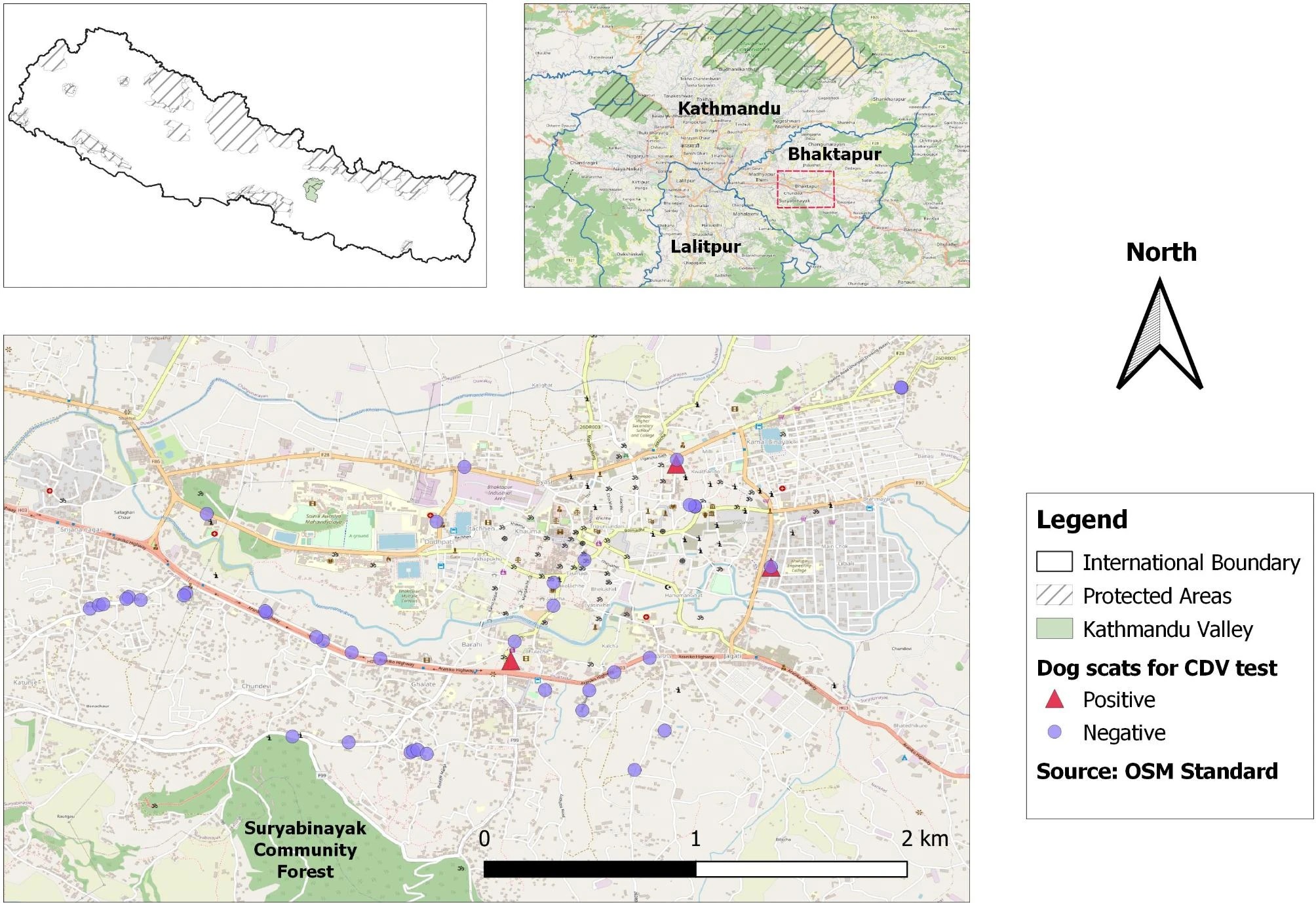 Canine Distemper in Stray Dogs of Kathmandu- study site