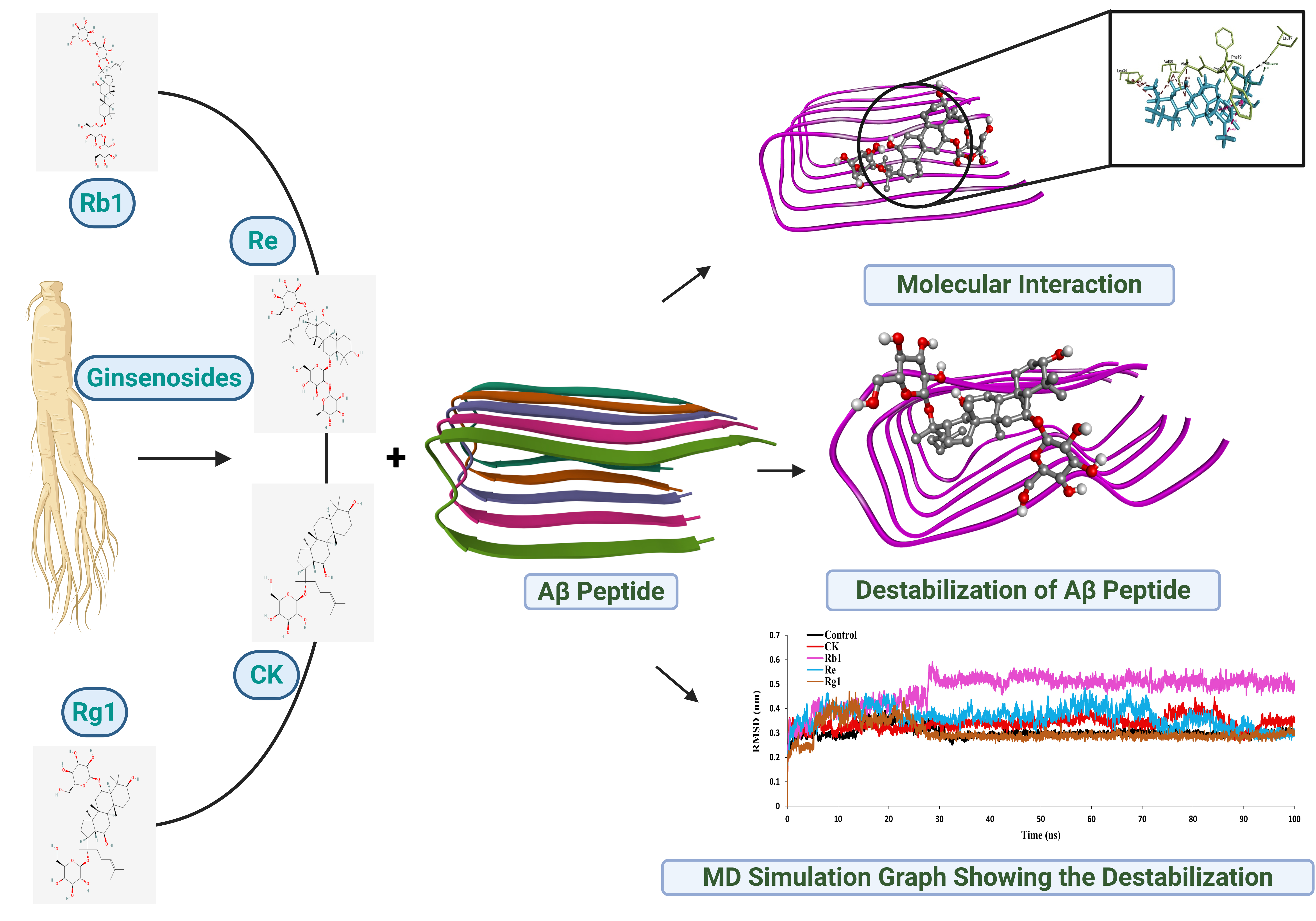 Figure 1: Visualizing the Molecular Battle Against Alzheimer’s