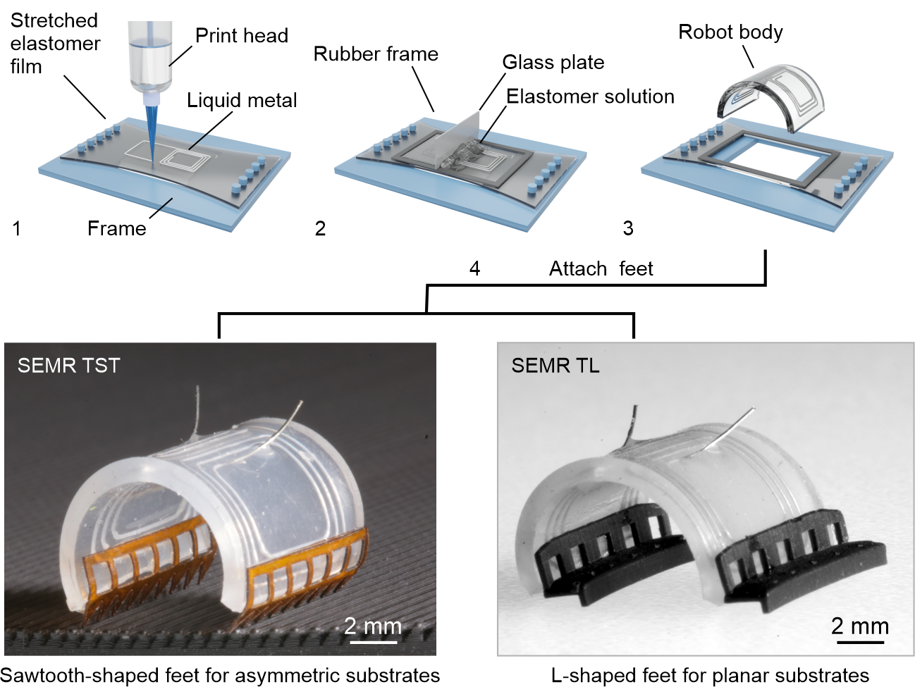 The top row shows the individual fabrication steps. The bottom row shows the final SEMR RST (left) and SEMR TL (right).